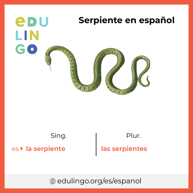 Imagen de vocabulario Serpiente en español con singular y plural para descargar e imprimir