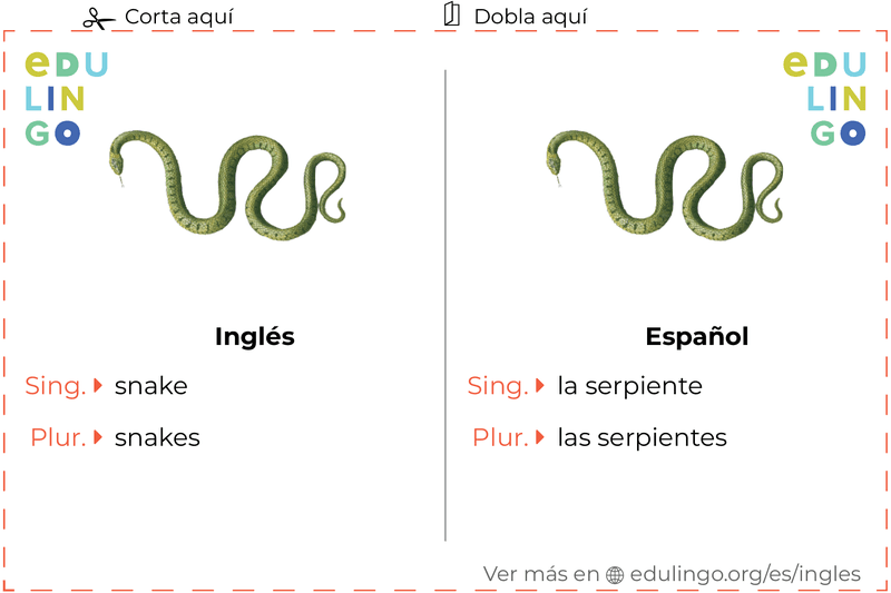 Ficha de Vocabulario Serpiente en inglés para imprimir, practicar y aprender