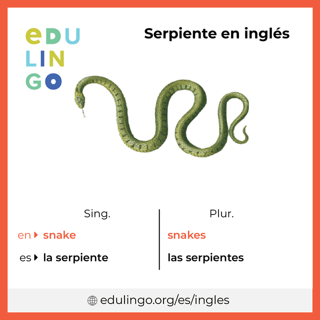Imagen de vocabulario Serpiente en inglés con singular y plural para descargar e imprimir