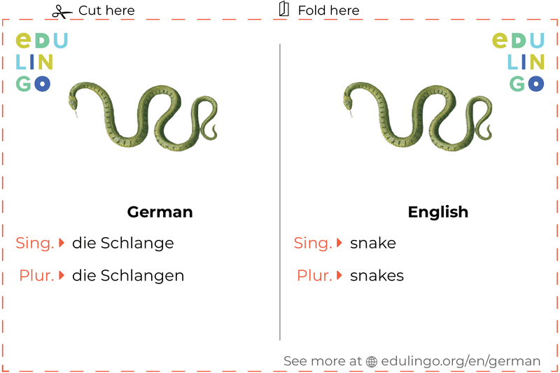 Snake in German vocabulary flashcard for printing, practicing and learning