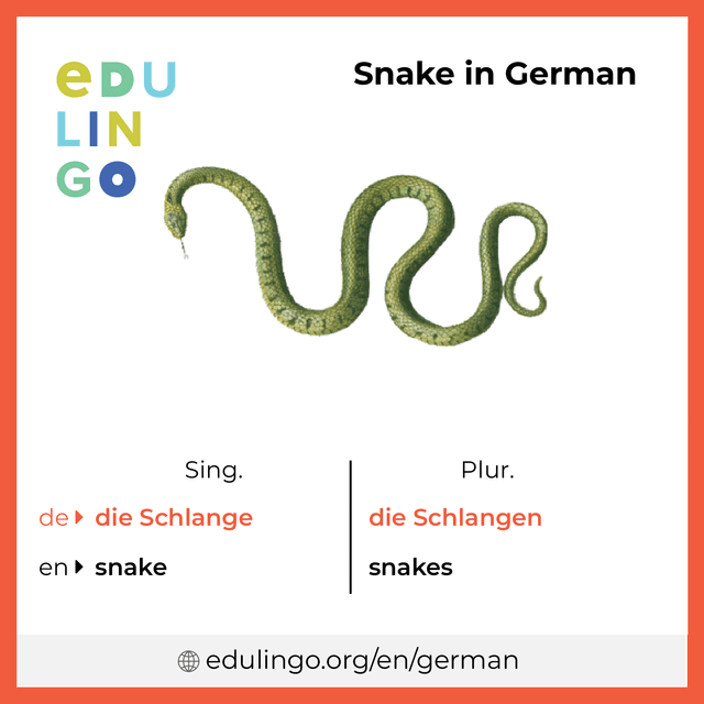 Snake in German vocabulary picture with singular and plural for download and printing