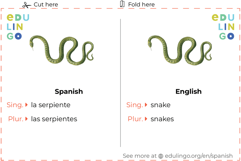 Snake in Spanish vocabulary flashcard for printing, practicing and learning