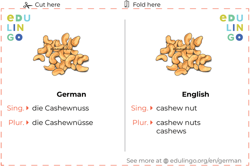 Cashew Nut in German vocabulary flashcard for printing, practicing and learning