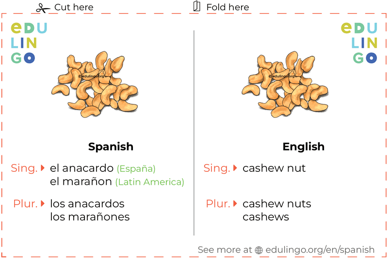 Cashew Nut in Spanish vocabulary flashcard for printing, practicing and learning