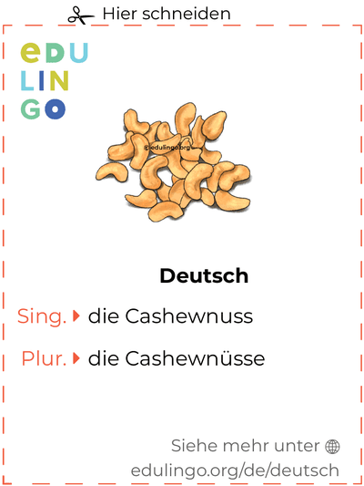 Cashewnuss auf Deutsch Vokabelkartei zum Ausdrucken, Üben und Lernen