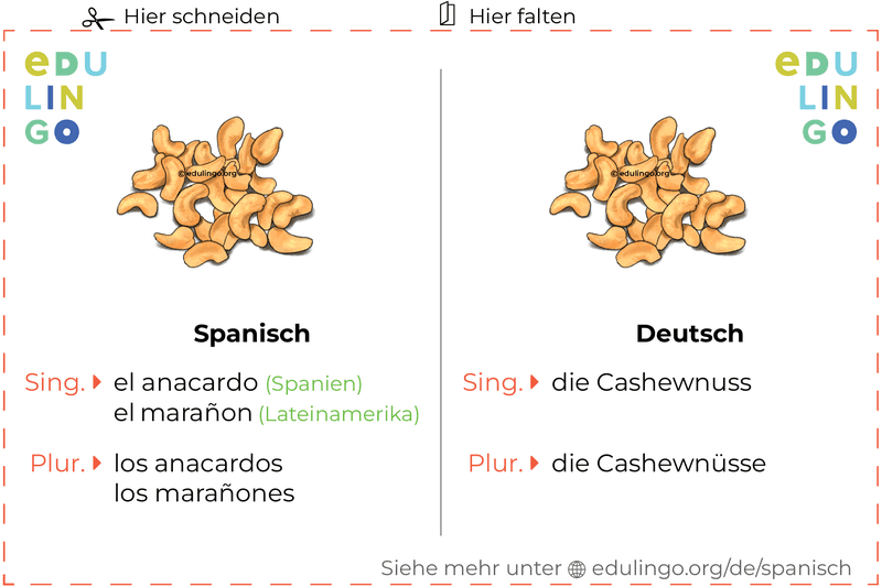 Cashewnuss auf Spanisch Vokabelkartei zum Ausdrucken, Üben und Lernen