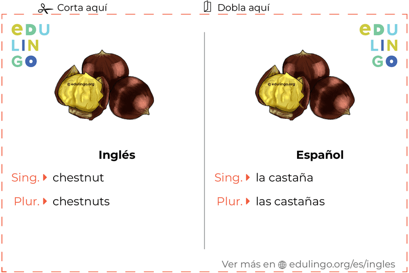 Ficha de Vocabulario Castaña en inglés para imprimir, practicar y aprender