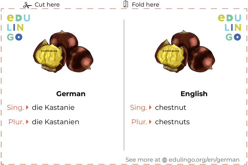 Chestnut in German vocabulary flashcard for printing, practicing and learning