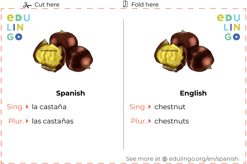 Chestnut in Spanish vocabulary flashcard for printing, practicing and learning