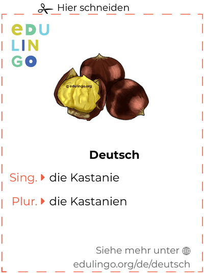 Kastanie auf Deutsch Vokabelkartei zum Ausdrucken, Üben und Lernen