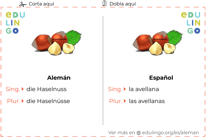 Ficha de Vocabulario Avellana en alemán para imprimir, practicar y aprender