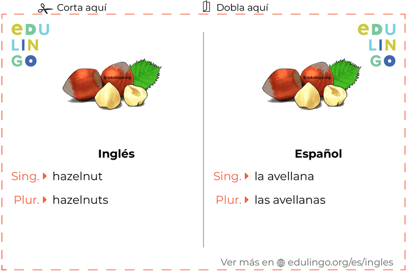 Ficha de Vocabulario Avellana en inglés para imprimir, practicar y aprender