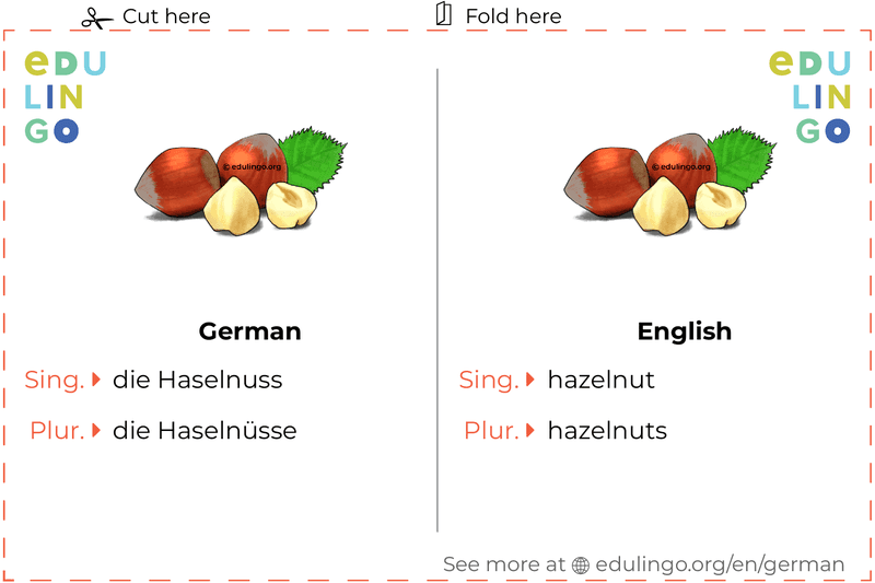 Hazelnut in German vocabulary flashcard for printing, practicing and learning