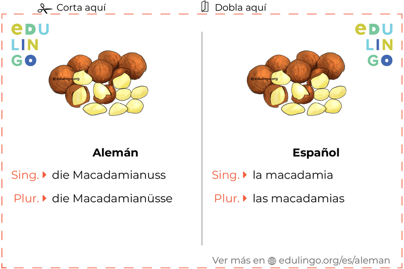 Ficha de Vocabulario Macadamia en alemán para imprimir, practicar y aprender