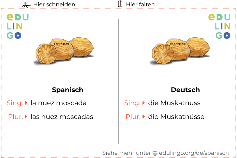 Muskatnuss auf Spanisch Vokabelkartei zum Ausdrucken, Üben und Lernen