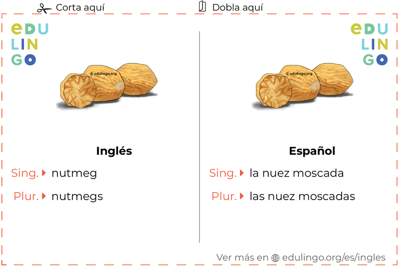 Ficha de Vocabulario Nuez moscada en inglés para imprimir, practicar y aprender