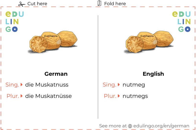 Nutmeg in German vocabulary flashcard for printing, practicing and learning