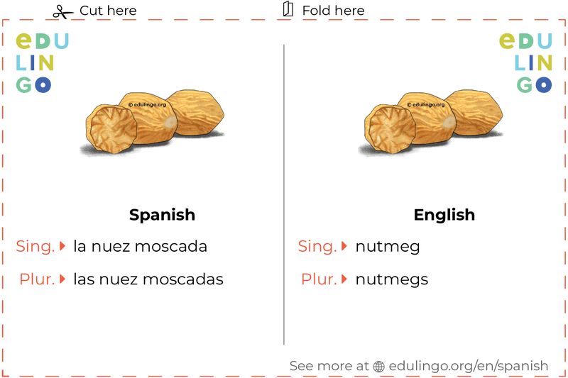 Nutmeg in Spanish vocabulary flashcard for printing, practicing and learning
