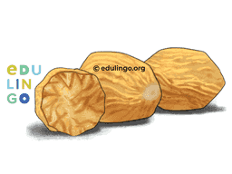 Thumbnail: Nutmeg in English