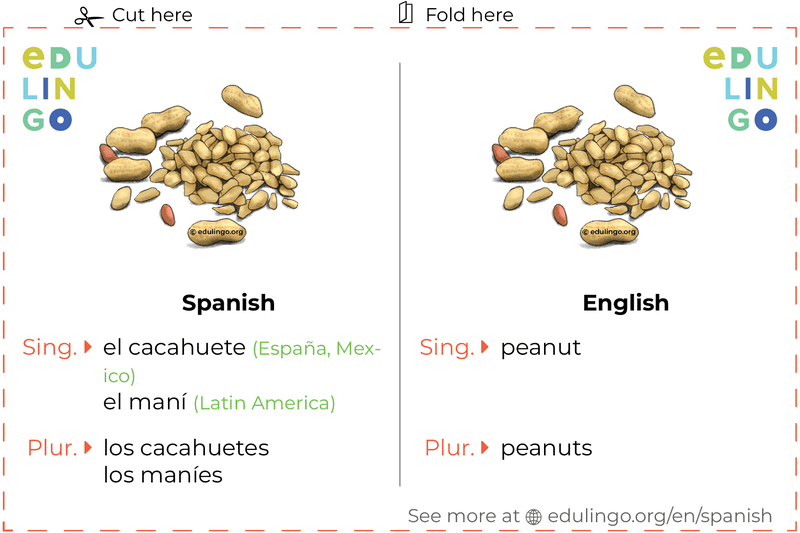 Peanut in Spanish vocabulary flashcard for printing, practicing and learning