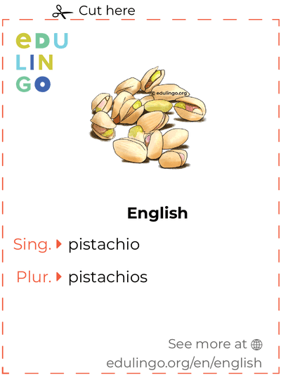 Pistachio in English vocabulary flashcard for printing, practicing and learning