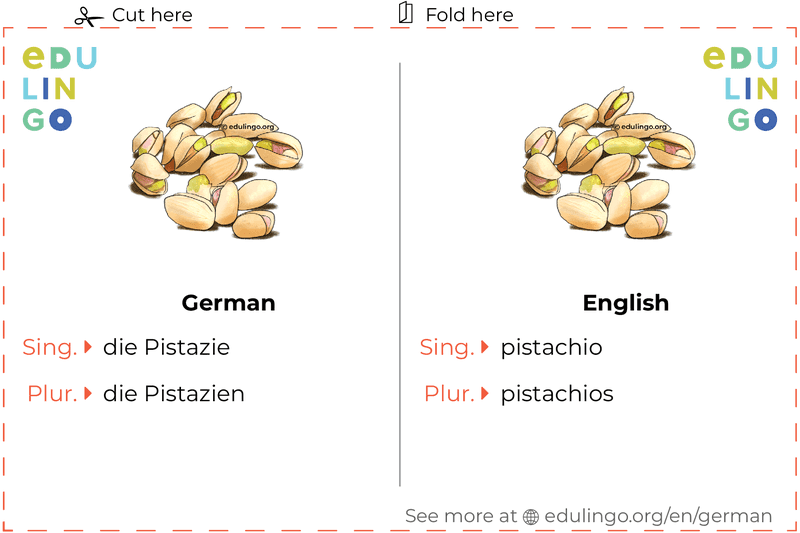 Pistachio in German vocabulary flashcard for printing, practicing and learning