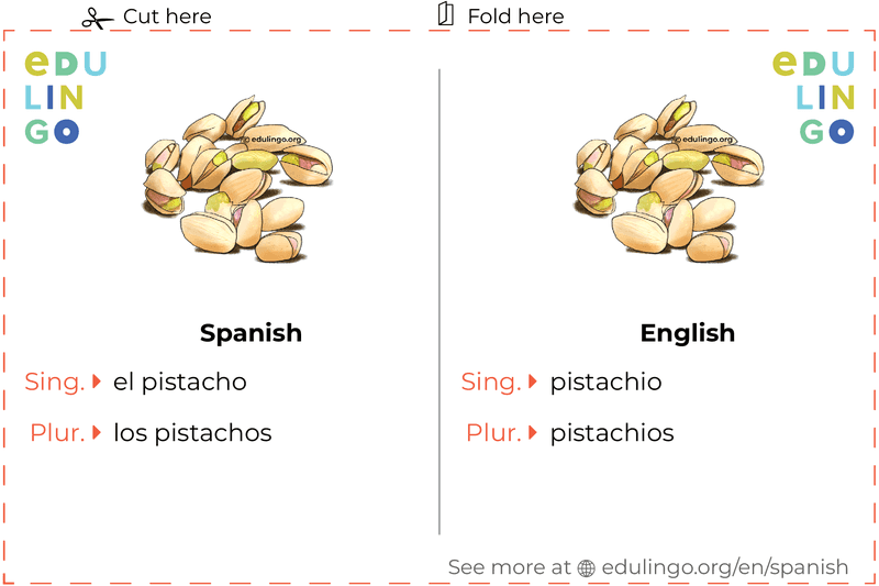 Pistachio in Spanish vocabulary flashcard for printing, practicing and learning