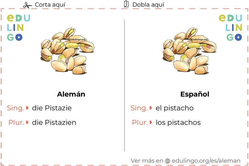 Ficha de Vocabulario Pistacho en alemán para imprimir, practicar y aprender