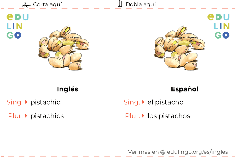 Ficha de Vocabulario Pistacho en inglés para imprimir, practicar y aprender