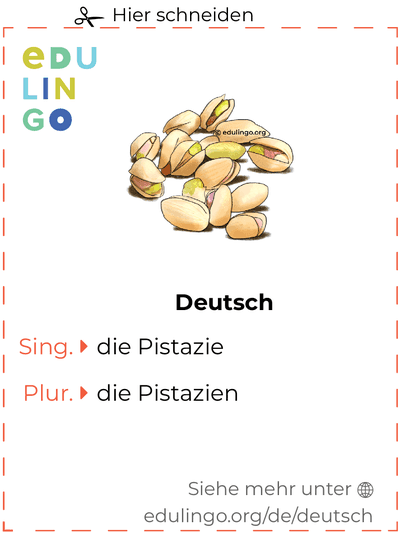 Pistazie auf Deutsch Vokabelkartei zum Ausdrucken, Üben und Lernen