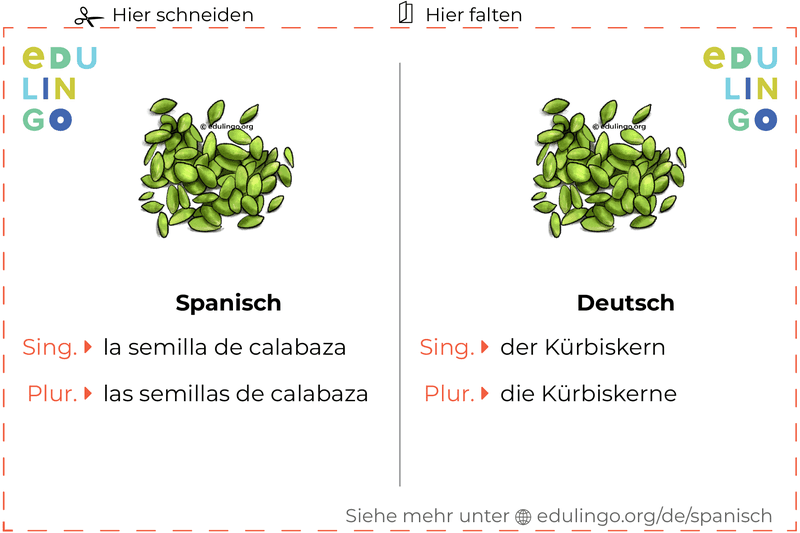 Kürbiskern auf Spanisch Vokabelkartei zum Ausdrucken, Üben und Lernen