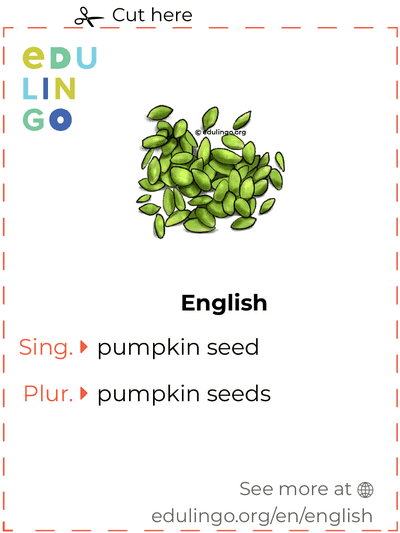 Pumpkin Seed in English vocabulary flashcard for printing, practicing and learning