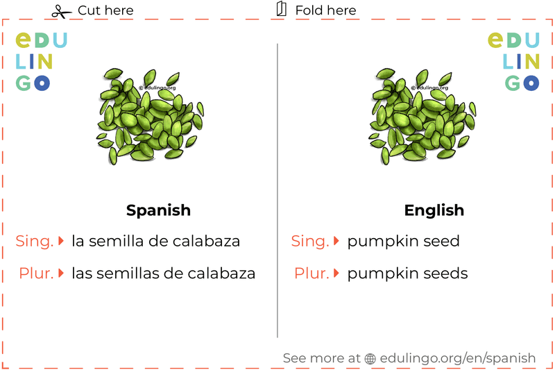 Pumpkin Seed in Spanish vocabulary flashcard for printing, practicing and learning