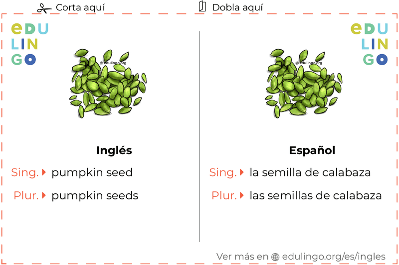 Ficha de Vocabulario Semilla de calabaza en inglés para imprimir, practicar y aprender