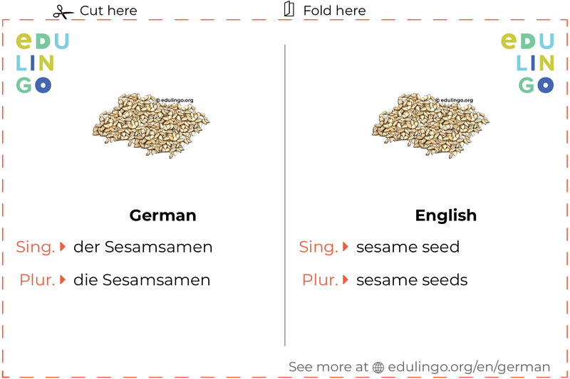 Sesame Seed in German vocabulary flashcard for printing, practicing and learning