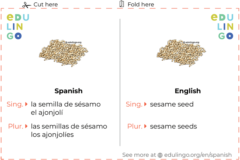 Sesame Seed in Spanish vocabulary flashcard for printing, practicing and learning