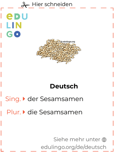 Sesamsamen auf Deutsch Vokabelkartei zum Ausdrucken, Üben und Lernen