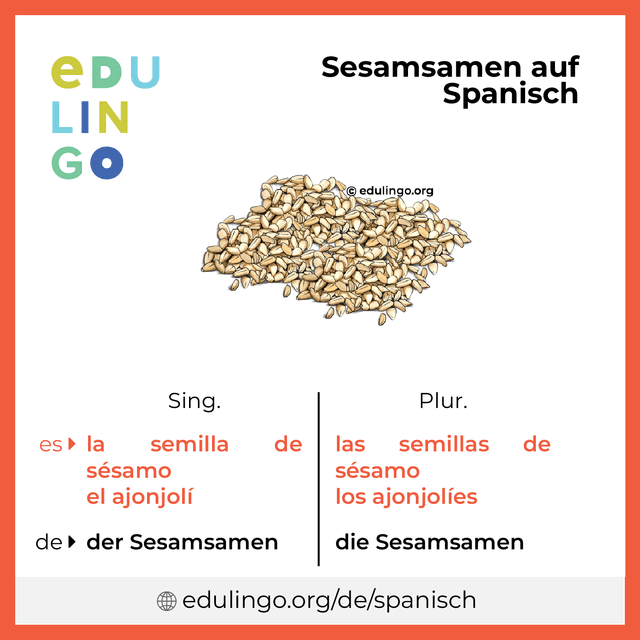 Sesamsamen auf Spanisch Vokabelbild mit Singular und Plural zum Herunterladen und Ausdrucken