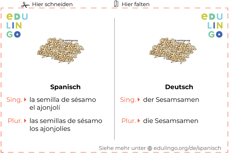 Sesamsamen auf Spanisch Vokabelkartei zum Ausdrucken, Üben und Lernen