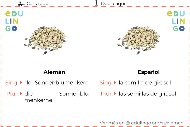 Ficha de Vocabulario Semilla de girasol en alemán para imprimir, practicar y aprender