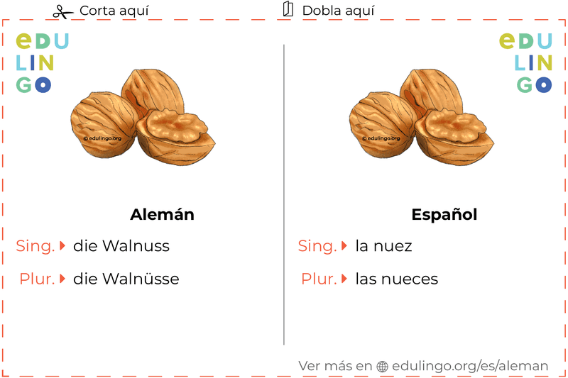 Ficha de Vocabulario Nuez en alemán para imprimir, practicar y aprender