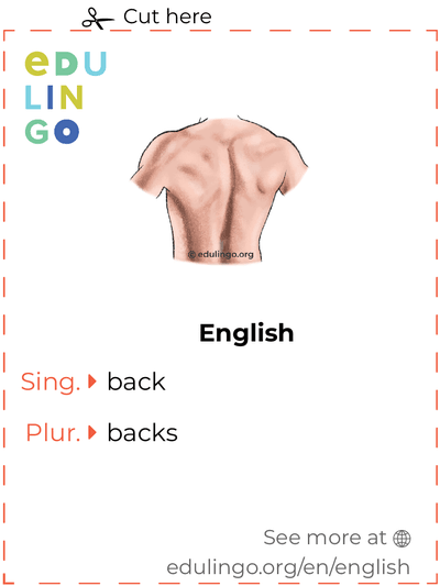 Back in English vocabulary flashcard for printing, practicing and learning