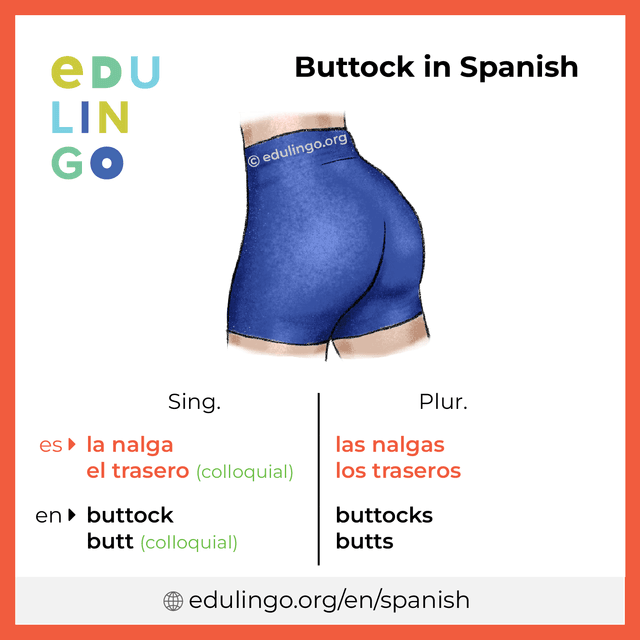 Buttock in Spanish vocabulary picture with singular and plural for download and printing