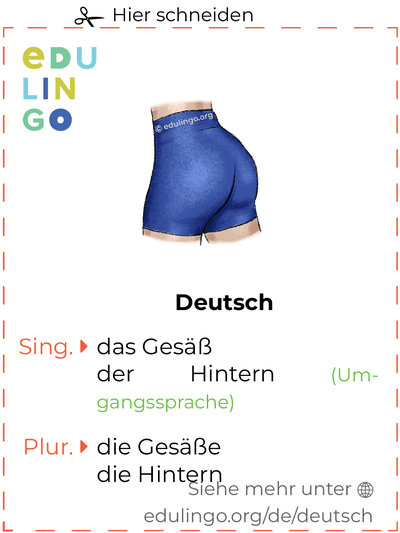 Gesäß auf Deutsch Vokabelkartei zum Ausdrucken, Üben und Lernen