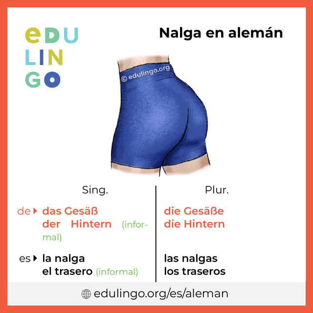 Imagen de vocabulario Nalga en alemán con singular y plural para descargar e imprimir