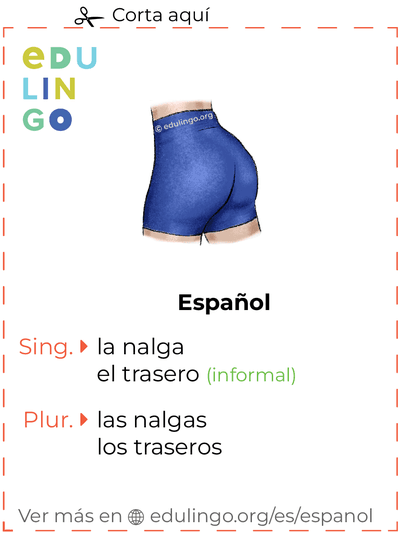 Ficha de Vocabulario Nalga en español para imprimir, practicar y aprender