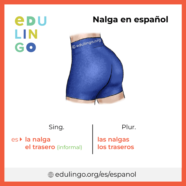 Imagen de vocabulario Nalga en español con singular y plural para descargar e imprimir