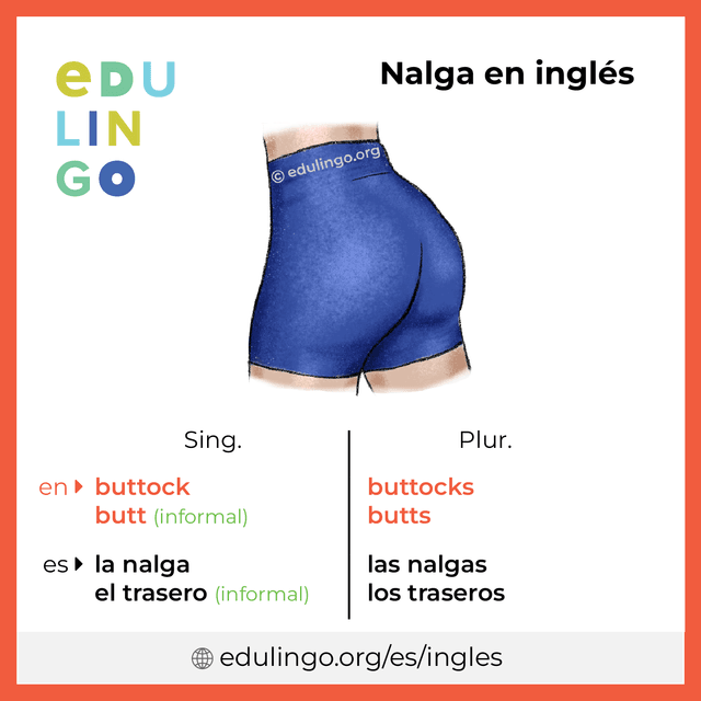 Imagen de vocabulario Nalga en inglés con singular y plural para descargar e imprimir