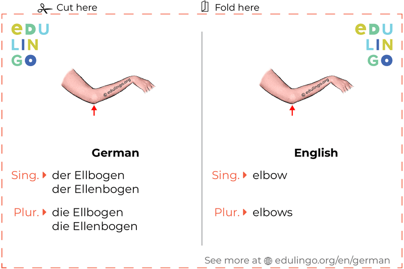 Elbow in German vocabulary flashcard for printing, practicing and learning