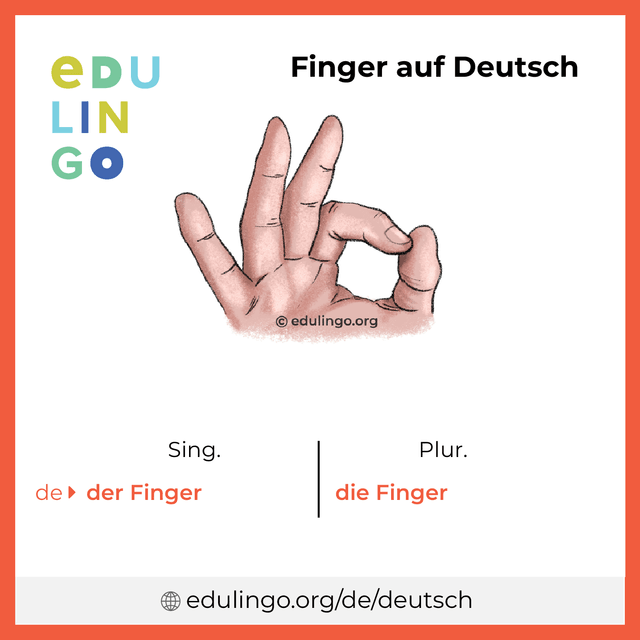 Finger auf Deutsch Vokabelbild mit Singular und Plural zum Herunterladen und Ausdrucken